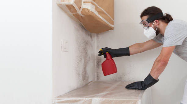 Professional Crawl Space Mold Removal technician working in Bartlett, IL